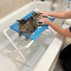 Mesh Pet Bathing Rack Quick Dry Dog Grooming Bed Pet Bathing Drying Table  for Pet Shop
