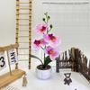 Faux Flower Phalaenopsis Bonsai Desk Decor For Home Office Decoration Wedding