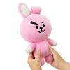 BT21 Medium Standing Dolls (Old Edition)