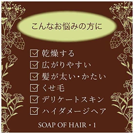 Frizzy Hair Easier To Soap of Hair 1 265ml Birch Scent Ofcosmetics Frizzy and Dry Shampoo [Makes Manage] / (for Hair) Salon-exclusive