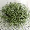 Привлекательный декор из травы Декоративный Долговечный Нежный