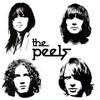 CD PEELS - The Peels DM071 Dim Mak Records 2005 US Rock Used