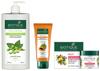 Biotique Био Шампунь для свежести и питания с соевым белком, 650 мл и Biotique Фруктовая Осветляющая Маска для лица с удалением пигментации и загара, 75 г и Biotique Папайя