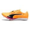 Puma EvoSPEED Nitro Прыжки в длину Sun Stream Чистый пурпурный Унисекс Шиповки Желтый Черный 311982-01