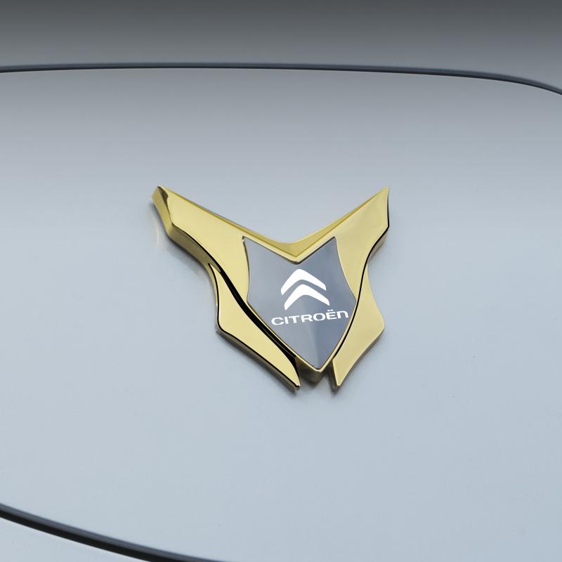 INTR1 3D Metal Car Side Fender Trunk Body Emblem Badge Sticker For Citroen C1 C2 C4 C5 C3 C4L C8 Berlingo Xsara Picasso Accessories