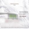 Philips Sonic Electric Toothbrush HX2461 CN plug (adapter included)
