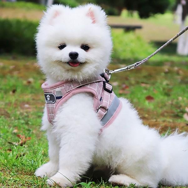 Шлейка для собак 5H, набор нагрудных поводков для маленьких собак, средних собак, контрольная шлейка (розовый), 1 кусок