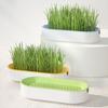 Cat Grass Planter Soilless Planting Visible Water Level Drain Grid U-hole Sturdy Sink Detachable Catnip Grow Box Pet Supply