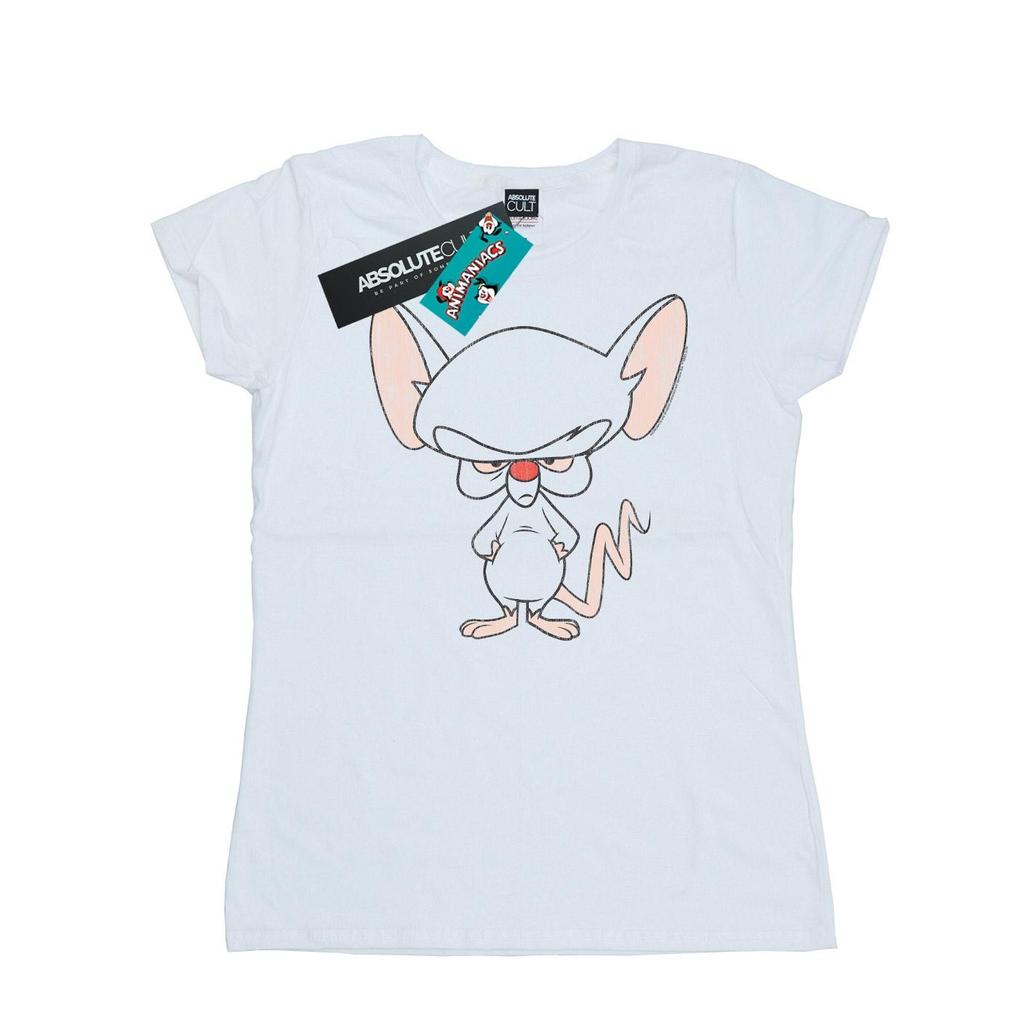Animaniacs Womens/Ladies The Brain Classic Pose Cotton T-Shirt