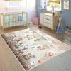 Washable Printed Carpet LNA4058