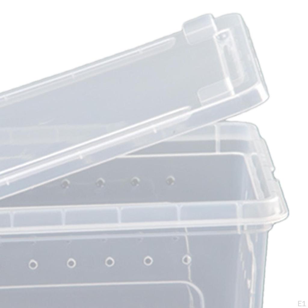 Reptile Breeding Box, Hatching Case, Terrarium Tank, Clear for Snake