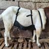 Breathable Sheep Anti-Mating Belly Band - Durable, Sturdy Wrap for Ewe Protection