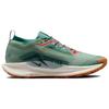 Nike Кроссовки React Pegasus Trail 5 Gore Tex Jade Horizon FQ0908-300