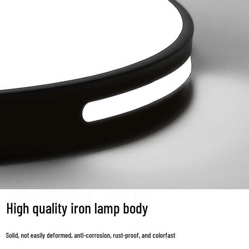 Shouli ZhanShen Smart LED Ceiling Light