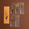 Nature Plants Translucent PET Flower Note Marker Page Holder School Creative Reading Supply Dried Flowers Journal Reading Folder