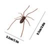 Lifelike 3D design flexible Spider Funny Ornament Party DIY Decoration Halloween Fake Spider reusable Plastic Figure Prank Toy