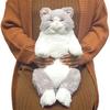 Sunlemon P-6462 Hizaneko Suyasuya Plush Toy GY