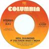 7inch Record NEIL DIAMOND - If You Know What I Mean / Street Li 310366 Columbia 1976 US Pop Used