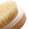 Wooden Bath Brush Body Massage Wood Exfoliation Shower Brush Horse Hair Brush