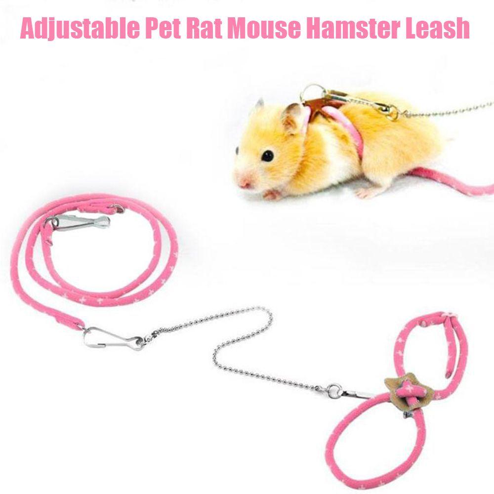 For Rat Squirrel Chinchilla Ferret Nylon Rope Walking Lead Pet Supplies Hamster Leash Mouse Vest