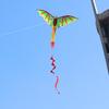 3D D-ragon K-ite Kids Toy  Outdoor Flying Activity Game Children With Tail