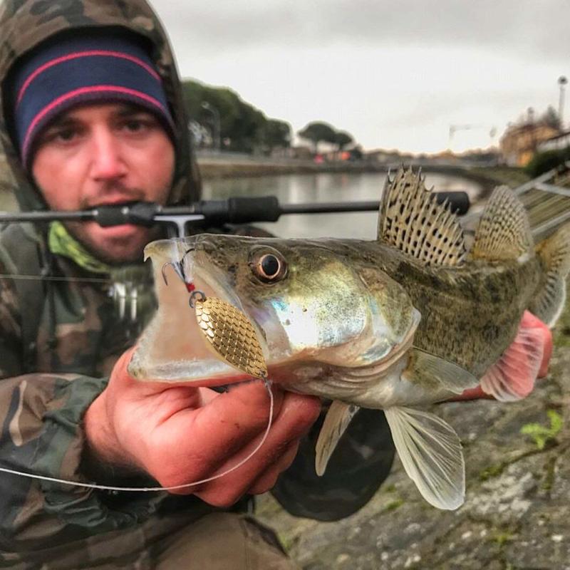 Рыболовные приманки-ложки, 5 шт. приманки-ложки для окуня форели с пластиковой коробкой для пресноводной рыбалки