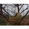Grass Straw Nest for Rabbits Hamsters