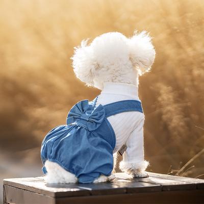 Одежда для четвероногих собак Тонкая одежда для домашних животных Цельный джинсовый комбинезон Одежда для маленьких собак