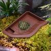 Aquarium Water Dish for Reptiles with Ramp And Feeding Area Tortoise, Gecko, Snake