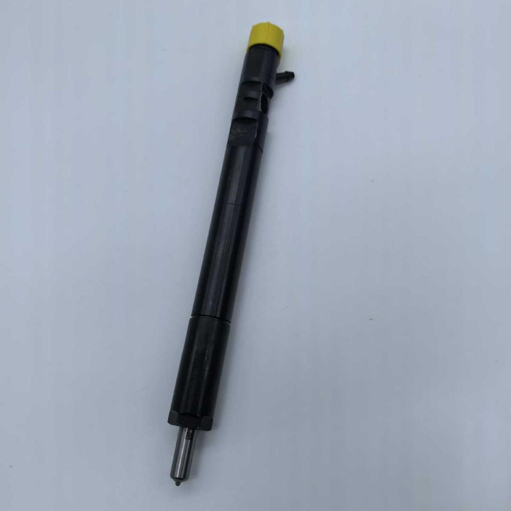Высококачественный форсунка Common Rail EJBR04401D для двигателя Renault