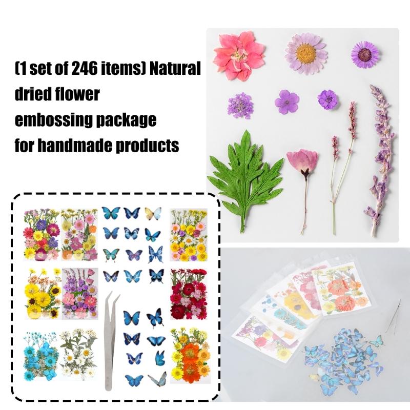205Pcs Pressed Dried Flower For Resin Natural Dry Flower Leaf with Tweezers Sticker for Art Craft Candle Jewelry Making