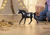Schleich Horse Club Пинто 14900 (мужчина)