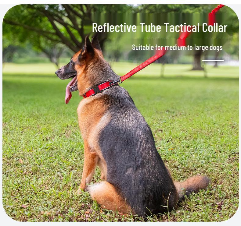 Светоотражающий тактический ошейник для собак средних и крупных пород: Колли, Золотистый ретривер, Лабрадор
