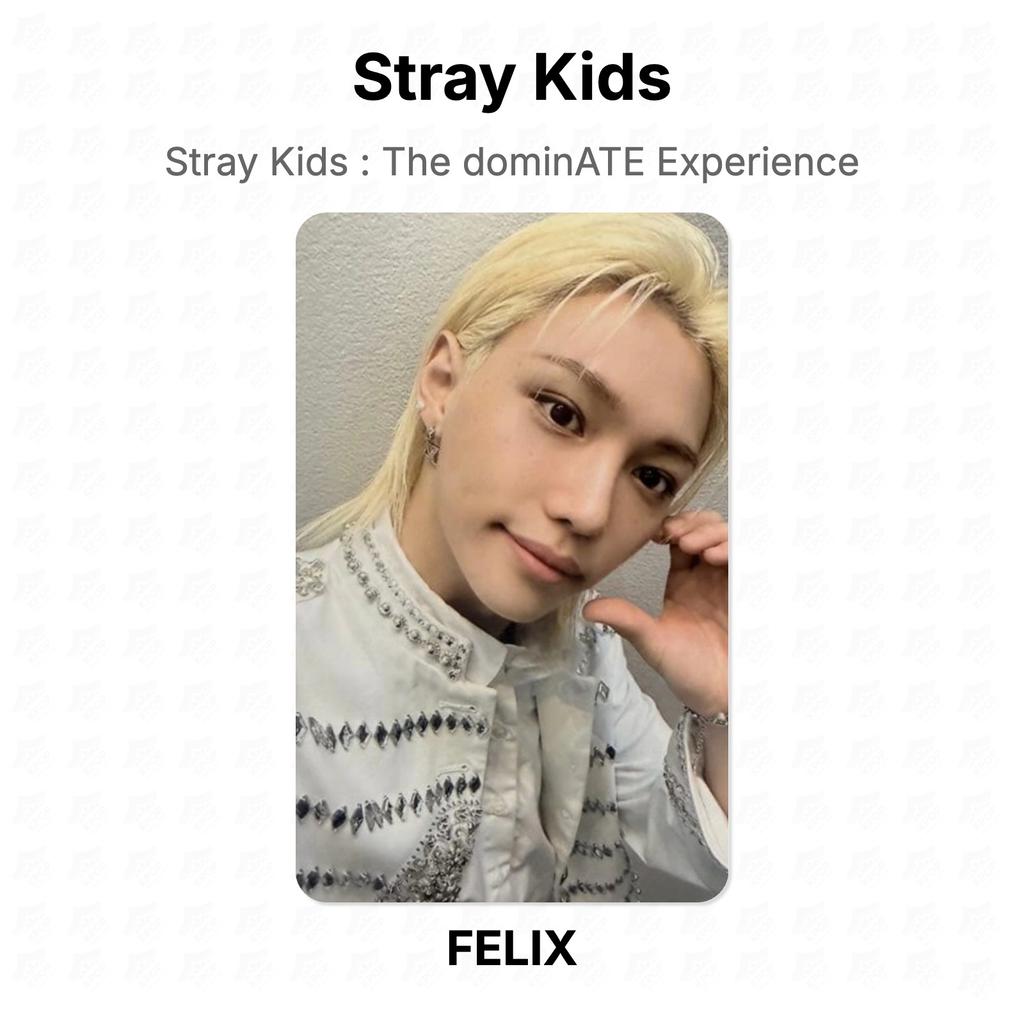 Stray Kids Официальная фотокарточка dominATE Experience