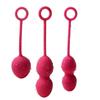 SVAKOM Nova Vaginal Training Ball Waterproof Ultimate Tightness Vaginal Training Goods Rotor Adult Goods Women's