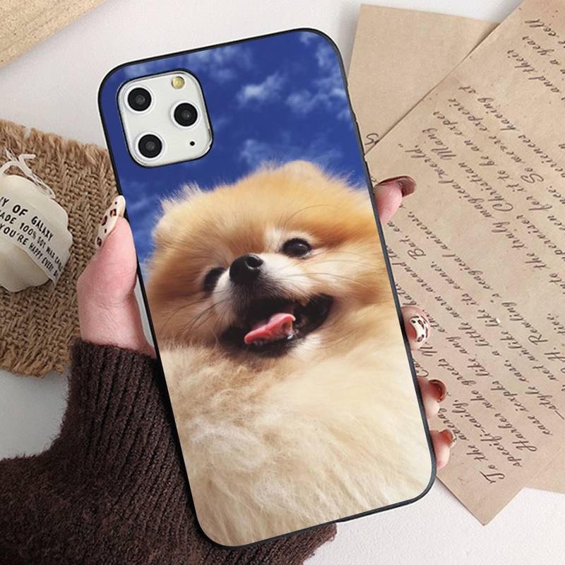 Чехол для телефона MaiYaCa Pomeranian dogs для iPhone 11 12 13 mini pro XS MAX 8 7 6 6S Plus X 5S SE 2020 XR