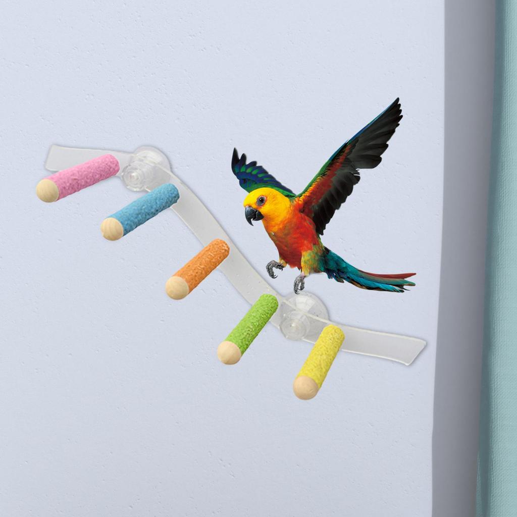 Bird Perch Stand - Portable Wooden Aviary Accessory