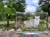 Munchkin – Crystal with a picture of a cat, photo in glass | Art-Dog