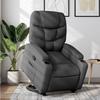 VidaXL Recliner, Relaxation Chair with Adjustable Backrest and Footrest, Living Room Seat, 3204597