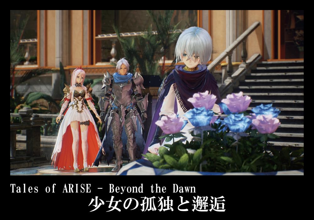 [PS5] Tales of ARISE – Издание «Beyond the Dawn»