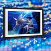 5d Diy Diamond Painting 12 Zodiacal Diamond Embroidery Constellations Starry Landscape Cross Stitch