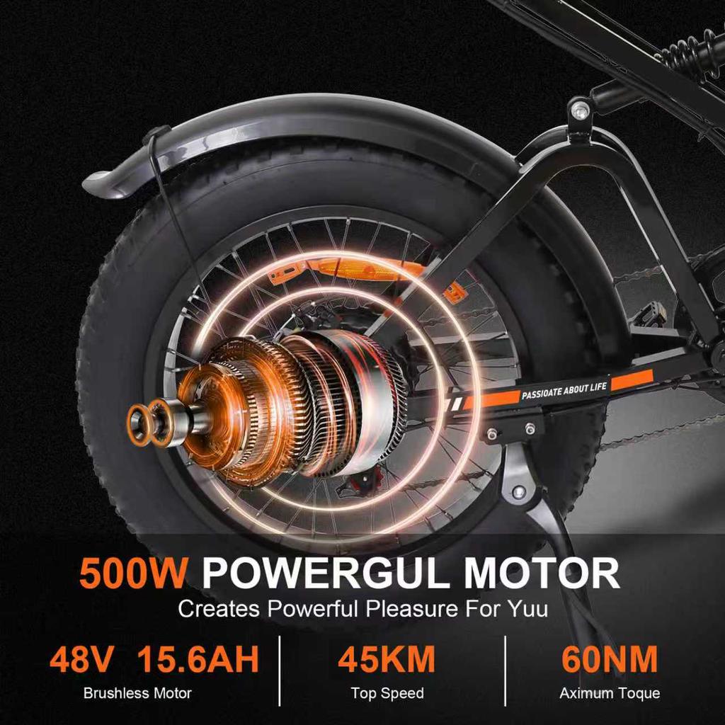 FXH-009 Electric Bike 500W48V15.6Ah Fat Tire Adult Off-Road Mountain Electric Bicycle