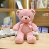 Colorful Ribbon Teddy Bear Plush Toy with Ten Color Options