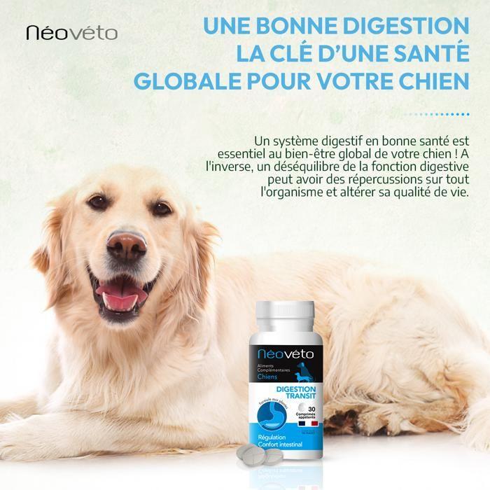 Néovéto DIGESTION TRANSIT, actifs agréés par les services vétérinaires, fabriqué en France