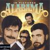 CD ALABAMA - In Pictures  07863665252 RCA 1995 US Rock Used