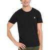 Hurley Mens Logo Regular T-Shirt (Pack of 2)