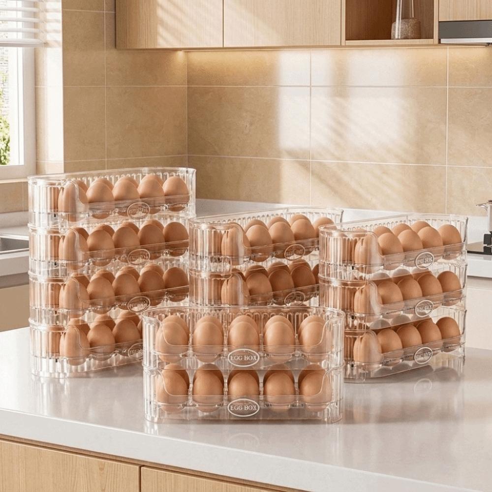 Large Capacity Fridge Egg Holder 10 Grids Egg Fresh-keeping Case Egg Organizer for Kitchen