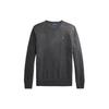 Polo Logo Round Neck Long Sleeve Knit Sweater Men Sweater Gray MNPOSWE16820895-020