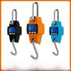 300kg Portable Crane Scale: Industrial Metal Hook Spring Scale