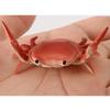 Japanese Creative Cute Crab Pen Holder Weightlifting Crabs Pen Holder Stand Bracket Storage Pen Rack School Office Home Store Accessories